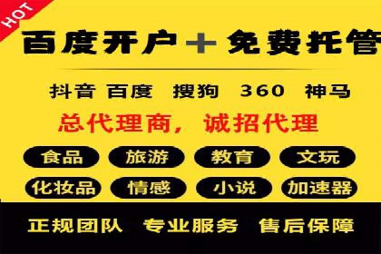 某电商平台的SEM优化托管实践与效果评估